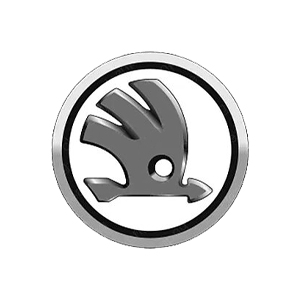 SKODA Оклейка автомобилей SKODA пленкой в Москве